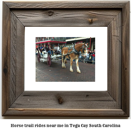 horse trail rides near me in Tega Cay, South Carolina